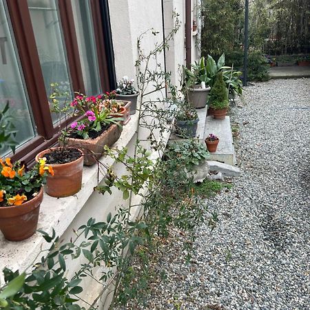 Loft Crimea Con Patio Apartment Turin Luaran gambar