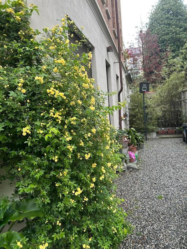 Loft Crimea Con Patio Apartment Turin Luaran gambar